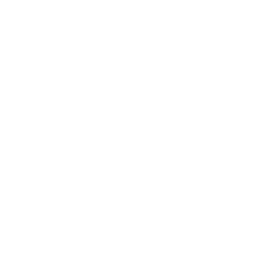 MODELLISTA TOKYO AUTO SALON 2017