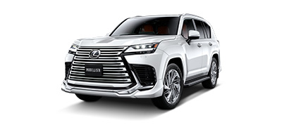 LX (MODELLISTA) スタイリング