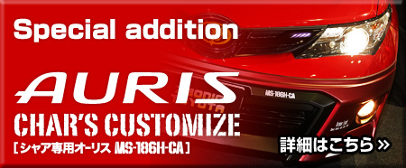 Special addition AURIS CHAR'S CUSTOMIZE ڍׂ͂