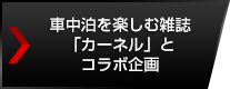 ԒyގGuJ[lvƃR{