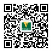微信公众号(Wechat)