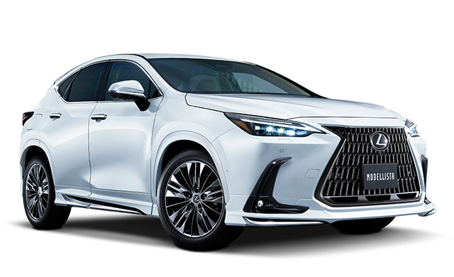 NX MODELLISTA