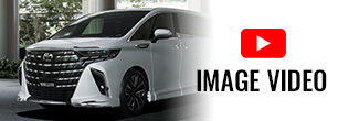 ALPHARD MODELLISTA IMAGE VIDEO