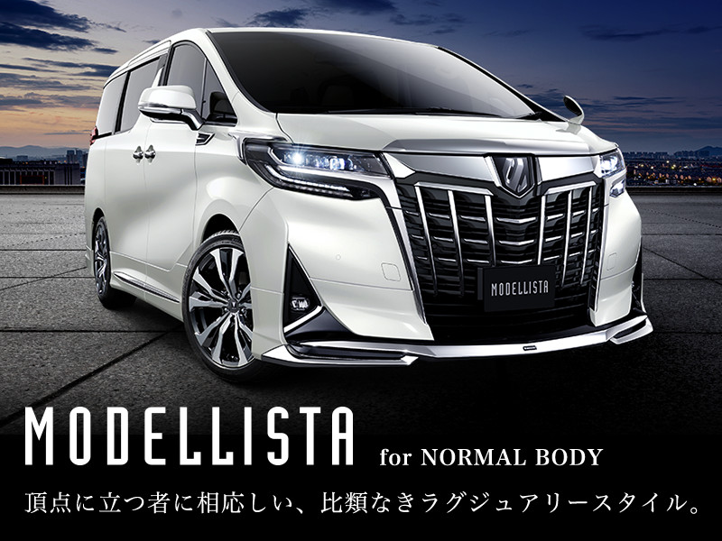 ALPHARD（アルファード）エアロパーツなど多様なカスタマイズパーツを