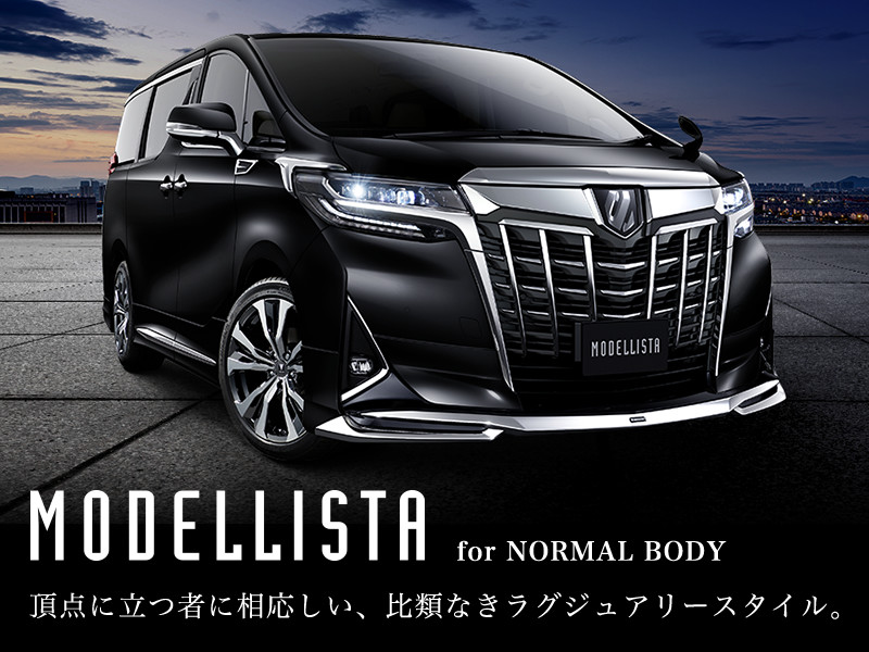 ALPHARD（アルファード）エアロパーツなど多様なカスタマイズ
