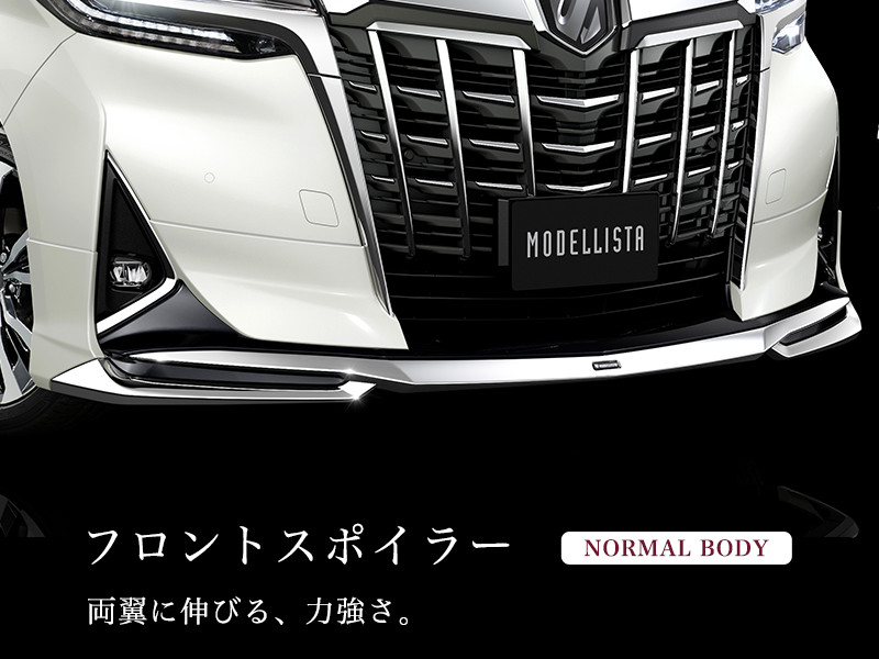 ALPHARD（アルファード）エアロパーツなど多様なカスタマイズパーツを