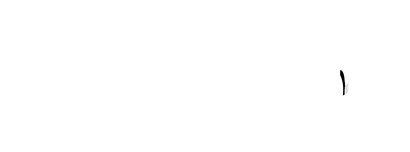 リヤスカート