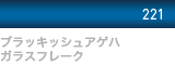 ブラッキッシュアゲハガラスフレーク 221