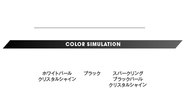 COLOR SIMULATION