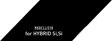 MODELLISTA for HYBRID Si,Si