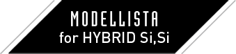 MODELLISTA for HYBRID Si,Si