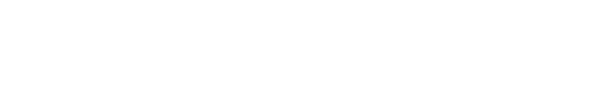 MODELLISTA for HYBRID Si,Si,ZS