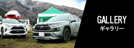 RAV4 ギャラリー