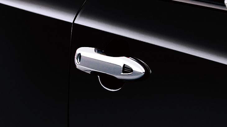 Door Handle Garnish
