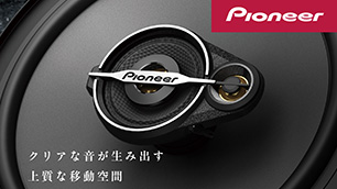 Speaker Set (Replace With Standard Speakers)
