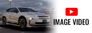 CROWN ESTATE MODELLISTA IMAGE VIDEO