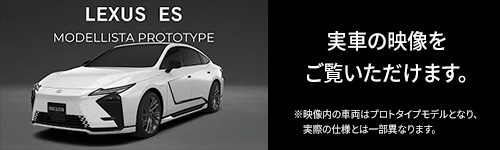 LEXUS ES MODELLISTA PROTOTYPE 実車の映像をご覧いただけます。