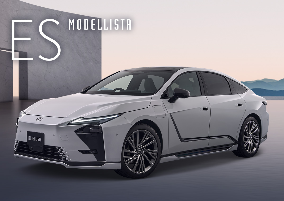 ES MODELLISTA