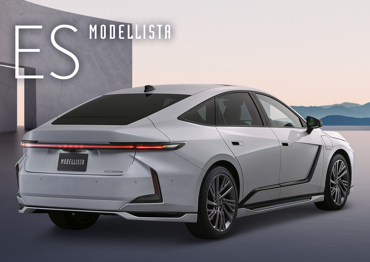 ES MODELLISTA