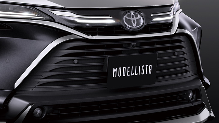 Front Grille Garnish