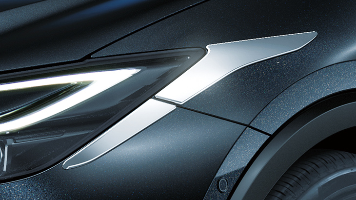 Headlight Garnish