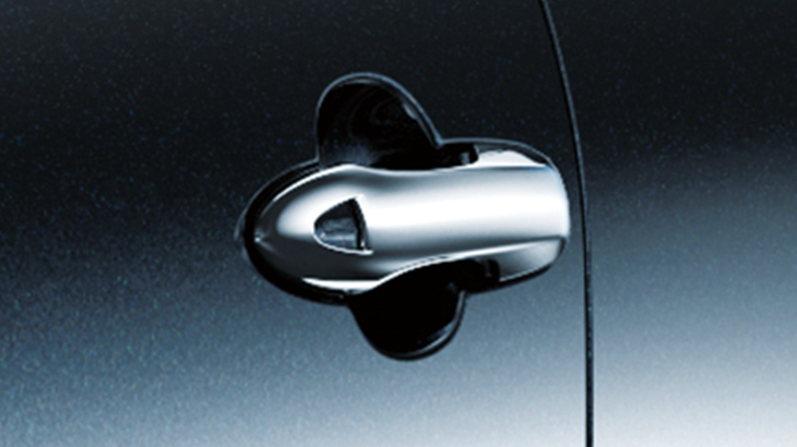 Door Handle Garnish