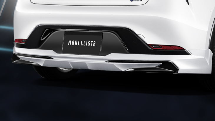 Rear Bumper Spoiler and Muffler Extension