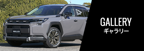 RAV4 MODELLISTA for Adventure ギャラリー