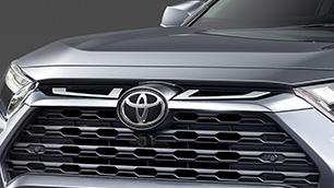 Front Grille Garnish