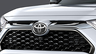 Front Grille Garnish