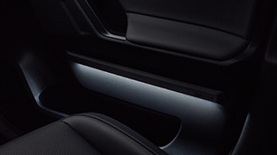 Door Panel Illumination