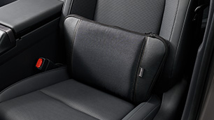 Dual Purpose Cushion