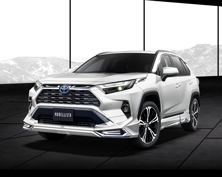 モデリスタRAV4エアロキット | labiela.com