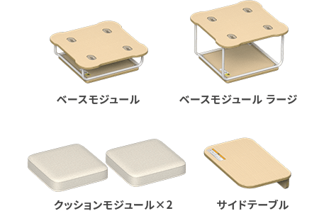 Module
