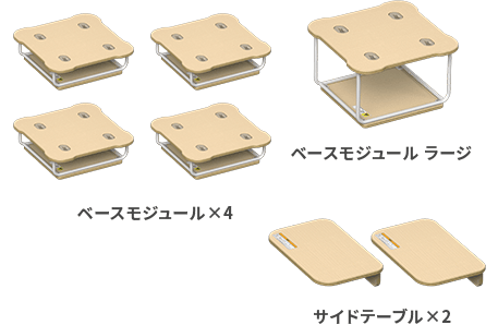 Module
