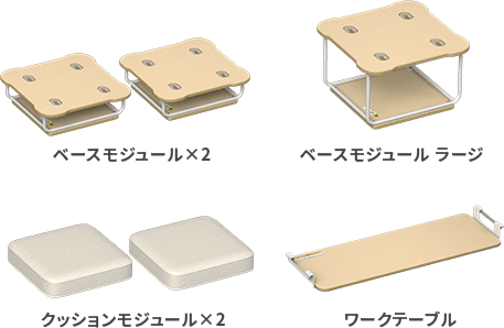 Module