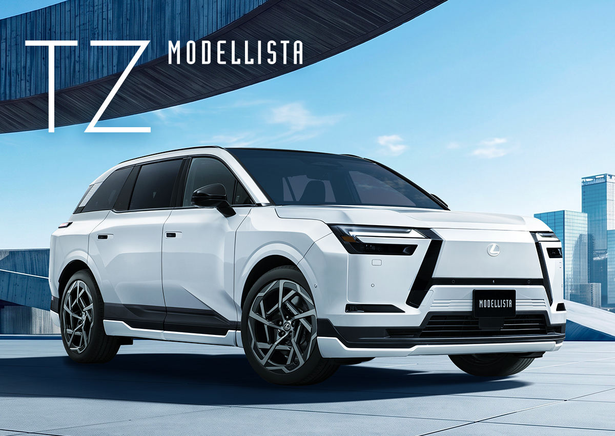 TZ MODELLISTA