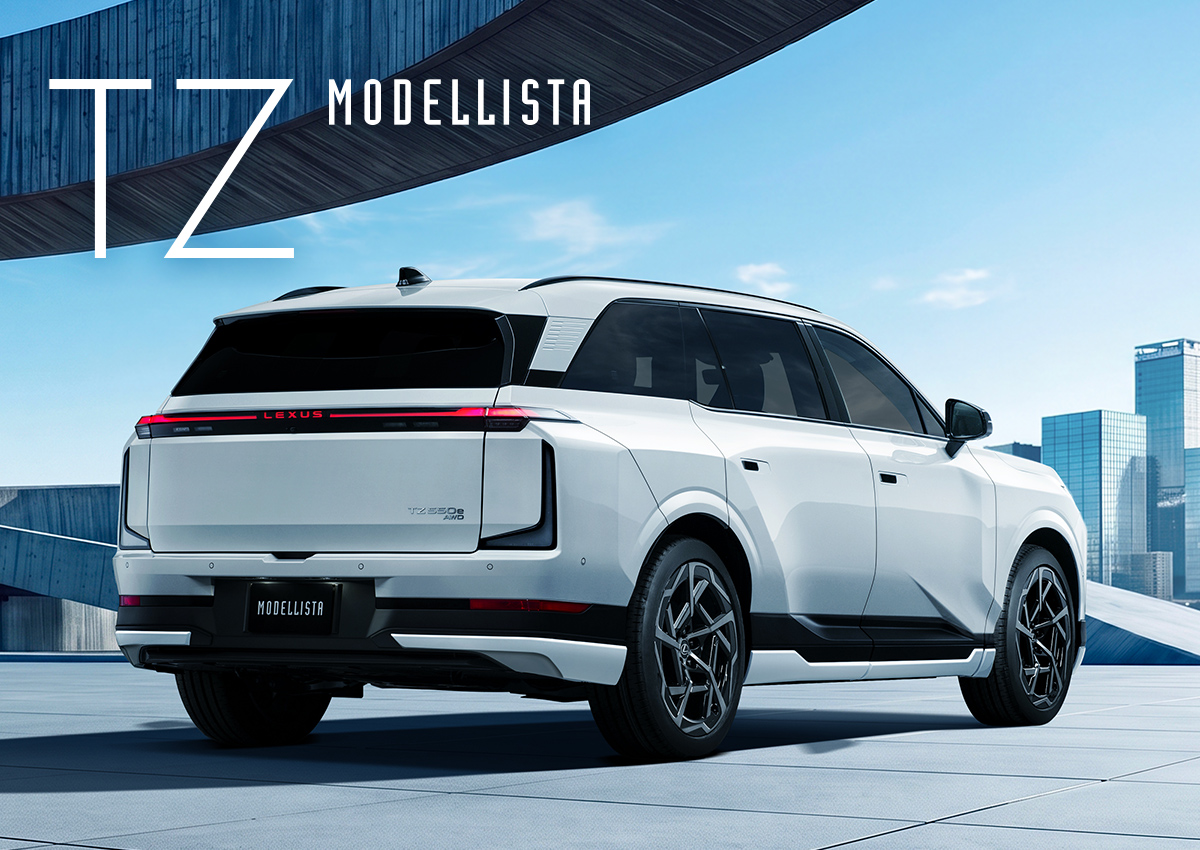 TZ MODELLISTA