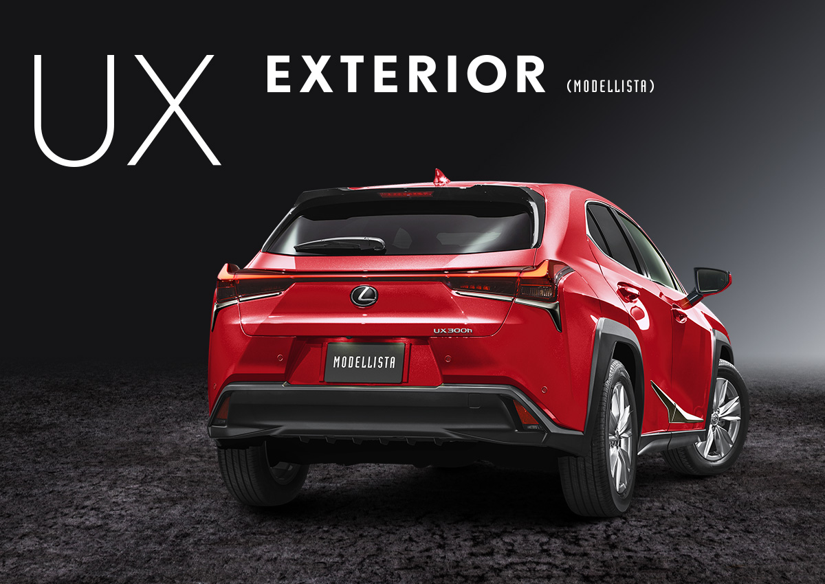 UX EXTERIOR (MODELLISTA)