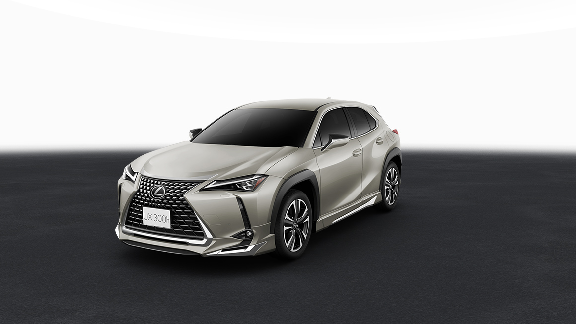 UX F SPORT PARTS (MODELLISTA) | MODELLISTA（モデリスタ）