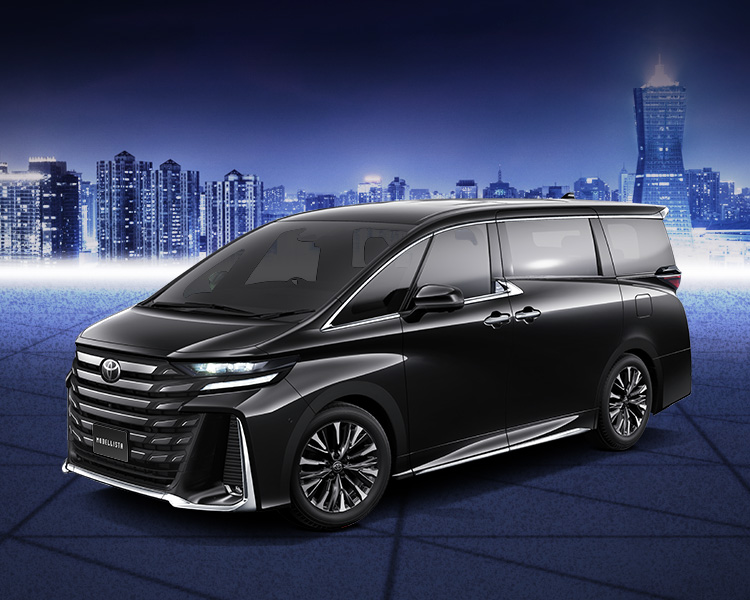 VELLFIRE（ヴェルファイア） メッキガーニッシュラインナップ（BEAST