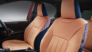 Seat Cover