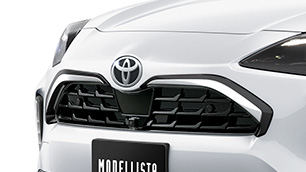 Front Grille Garnish