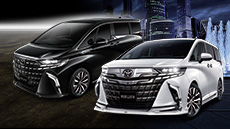 ALPHARD MODELLISTA