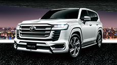 LAND CRUISER MODELLISTA